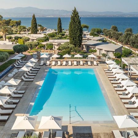 Amaronda Resort & Spa Eretria Ngoại thất bức ảnh